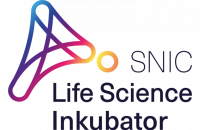 Logo_SNIC_LSI_blau_RGB-768x578